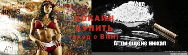 СК Аркадак