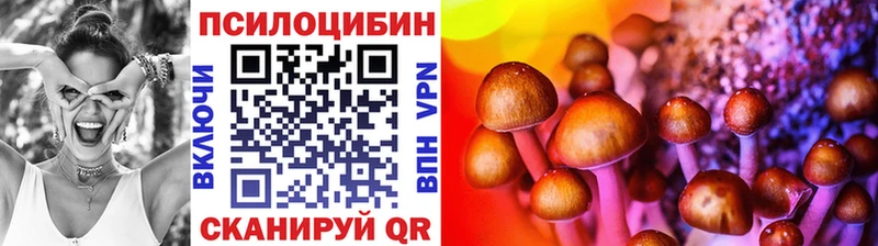 цена   blacksprut как зайти  Псилоцибиновые грибы мухоморы  Ахтубинск 